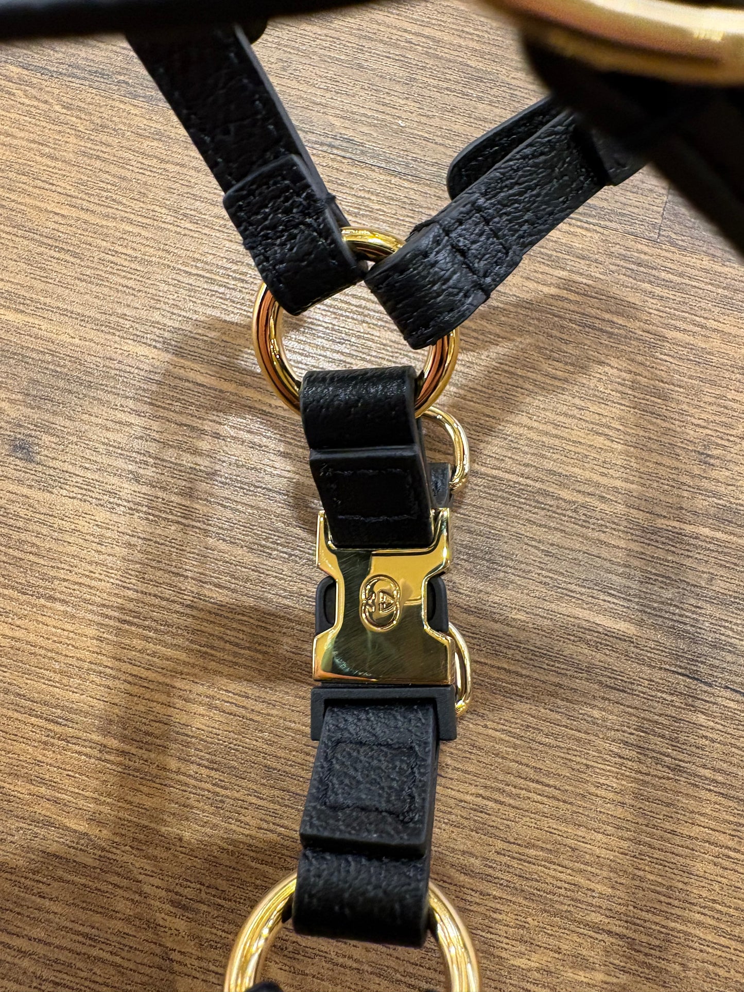 Gucci Pet pettorina per cani in pelle ( nuovo )