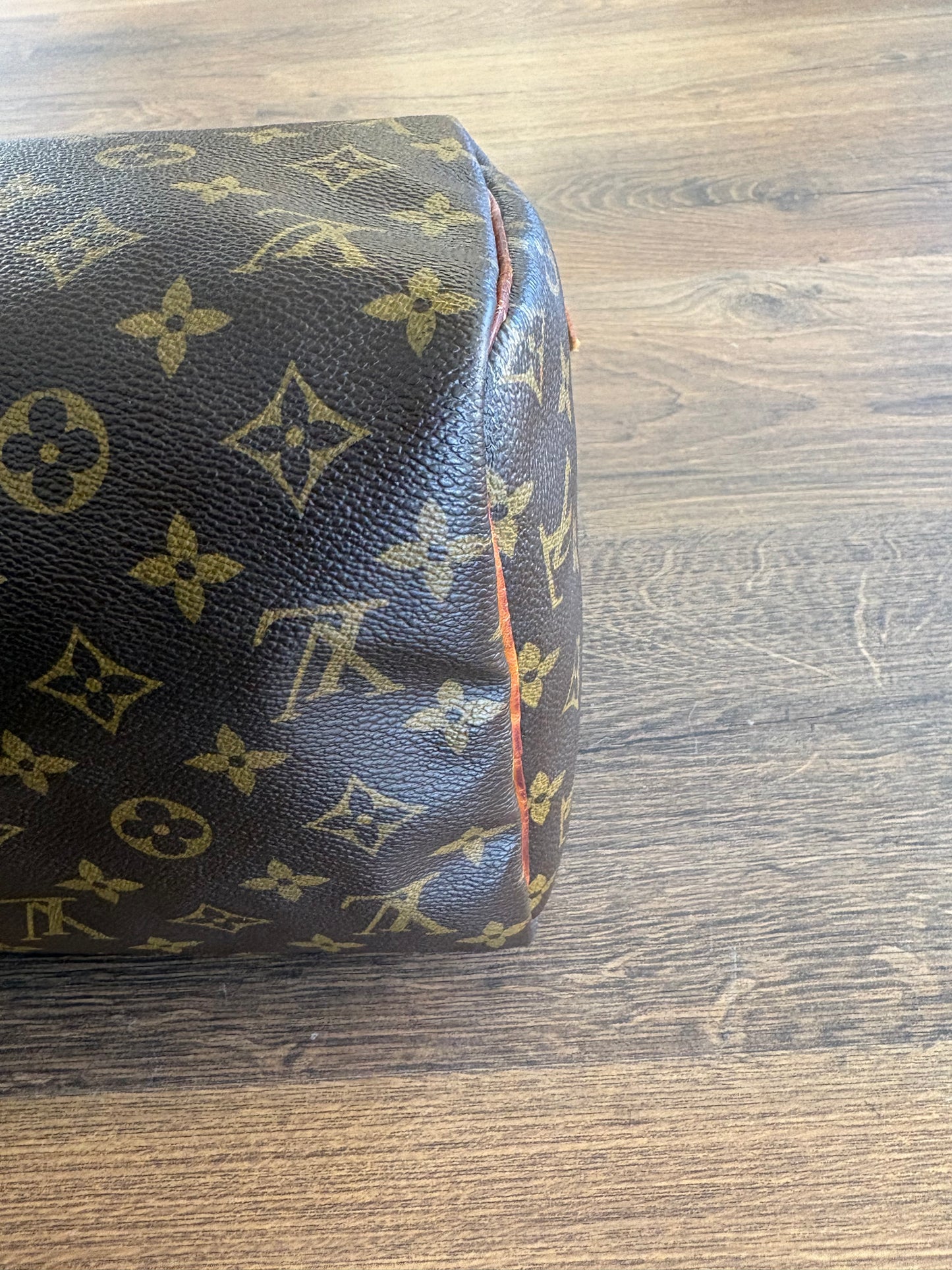 Louis Vuitton Speedy 30