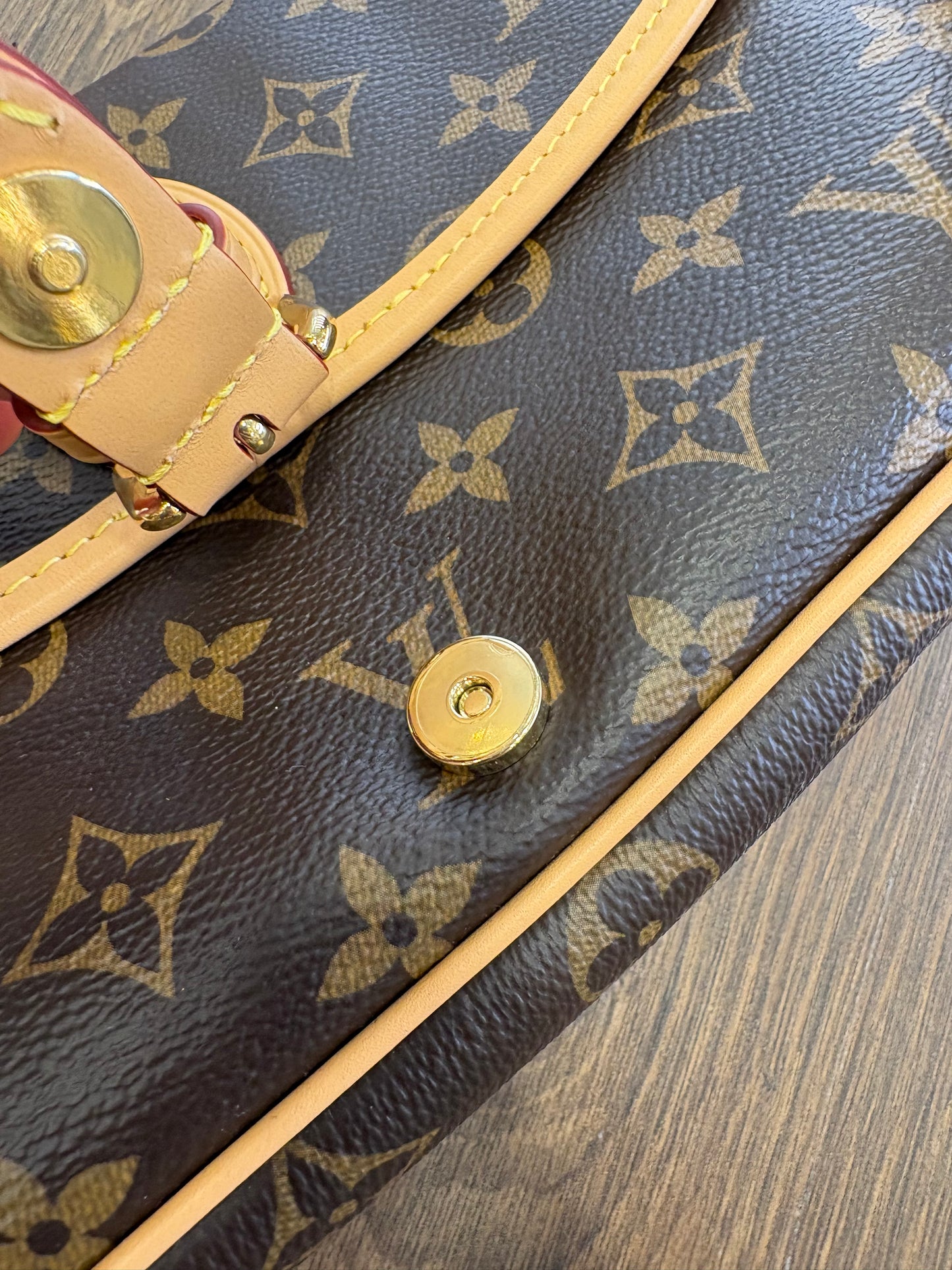 Louis Vuitton Diane Monogram Borsa Messenger in Tela e Vacchetta con Doppia Tracolla