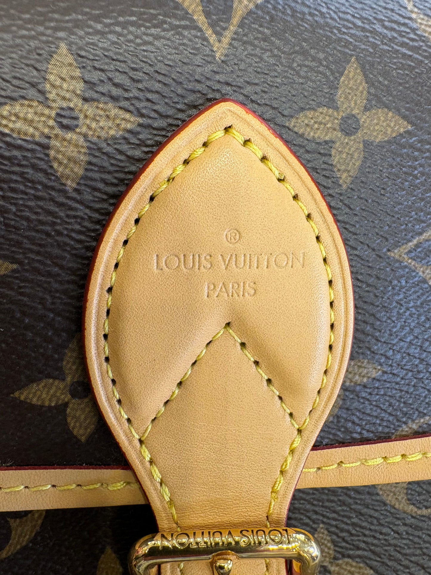 Louis Vuitton Diane Monogram Borsa Messenger in Tela e Vacchetta con Doppia Tracolla
