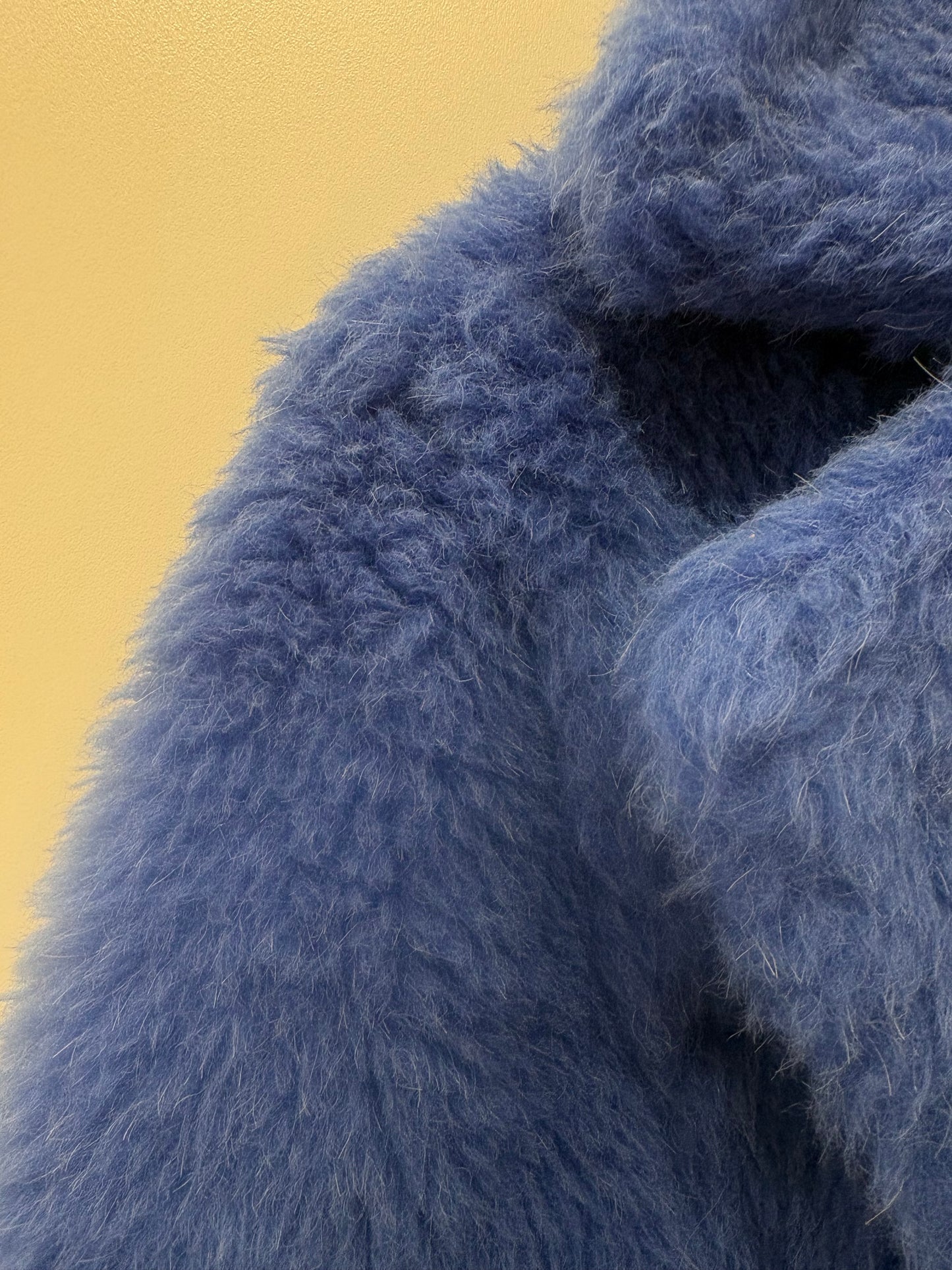 Max Mara cappotto Teddy Bear azzurro 40