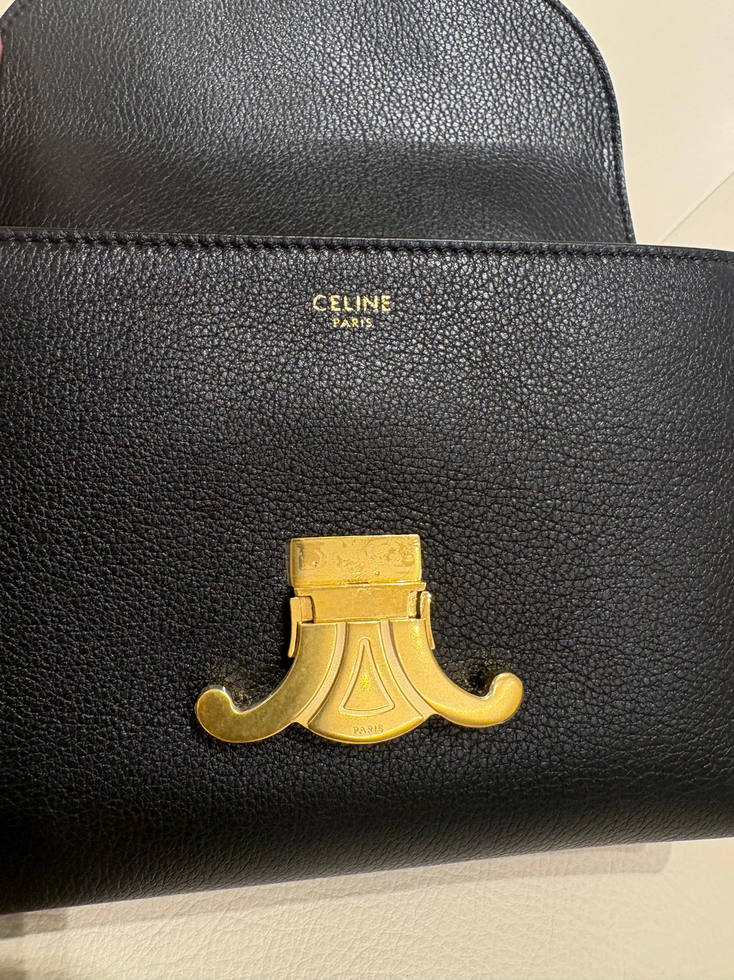 Celine borsa Nino Teen in pelle di vitello granata