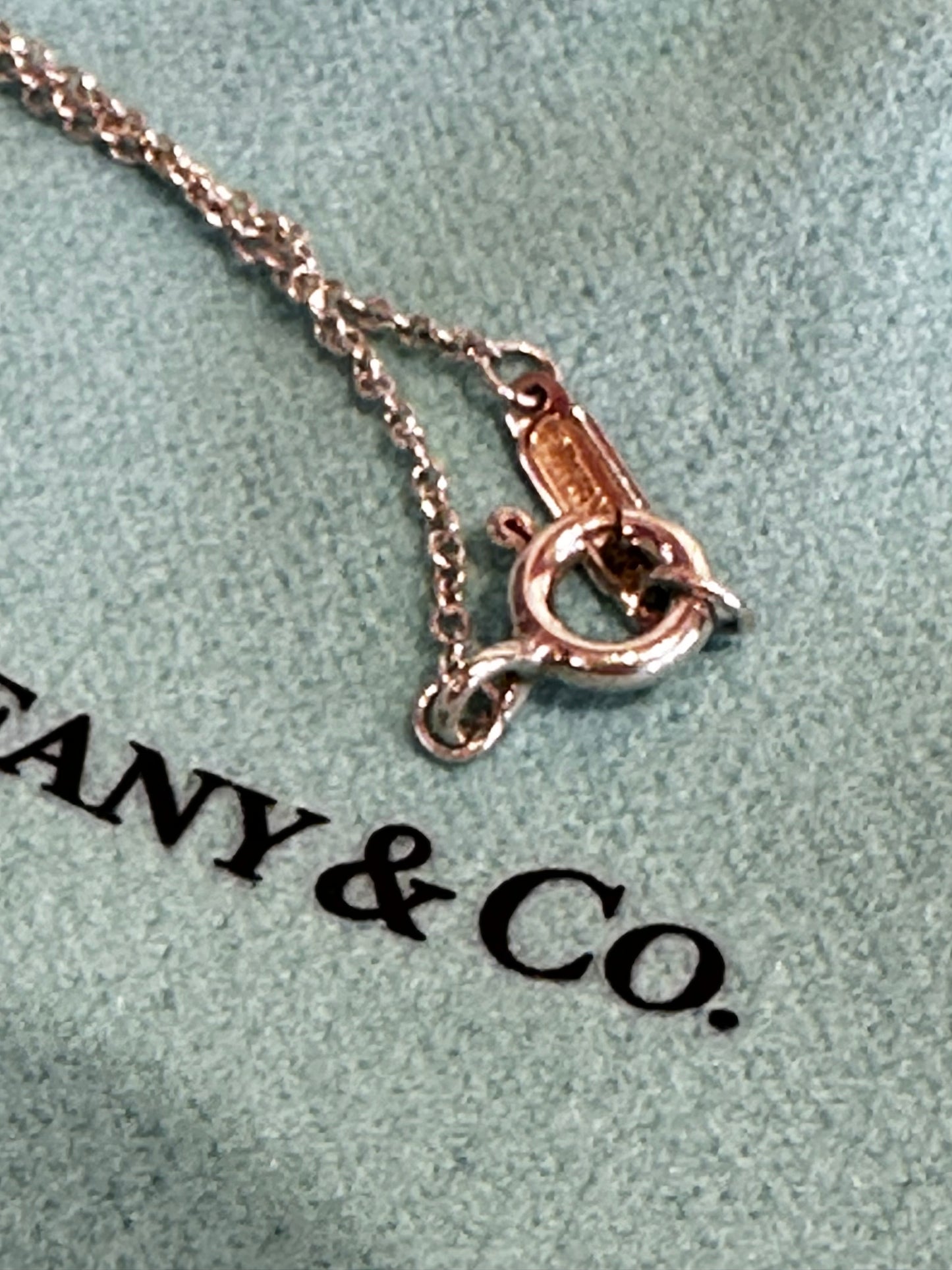 Tiffany & Co. Collana in argento e ciondolo ferro di cavallo