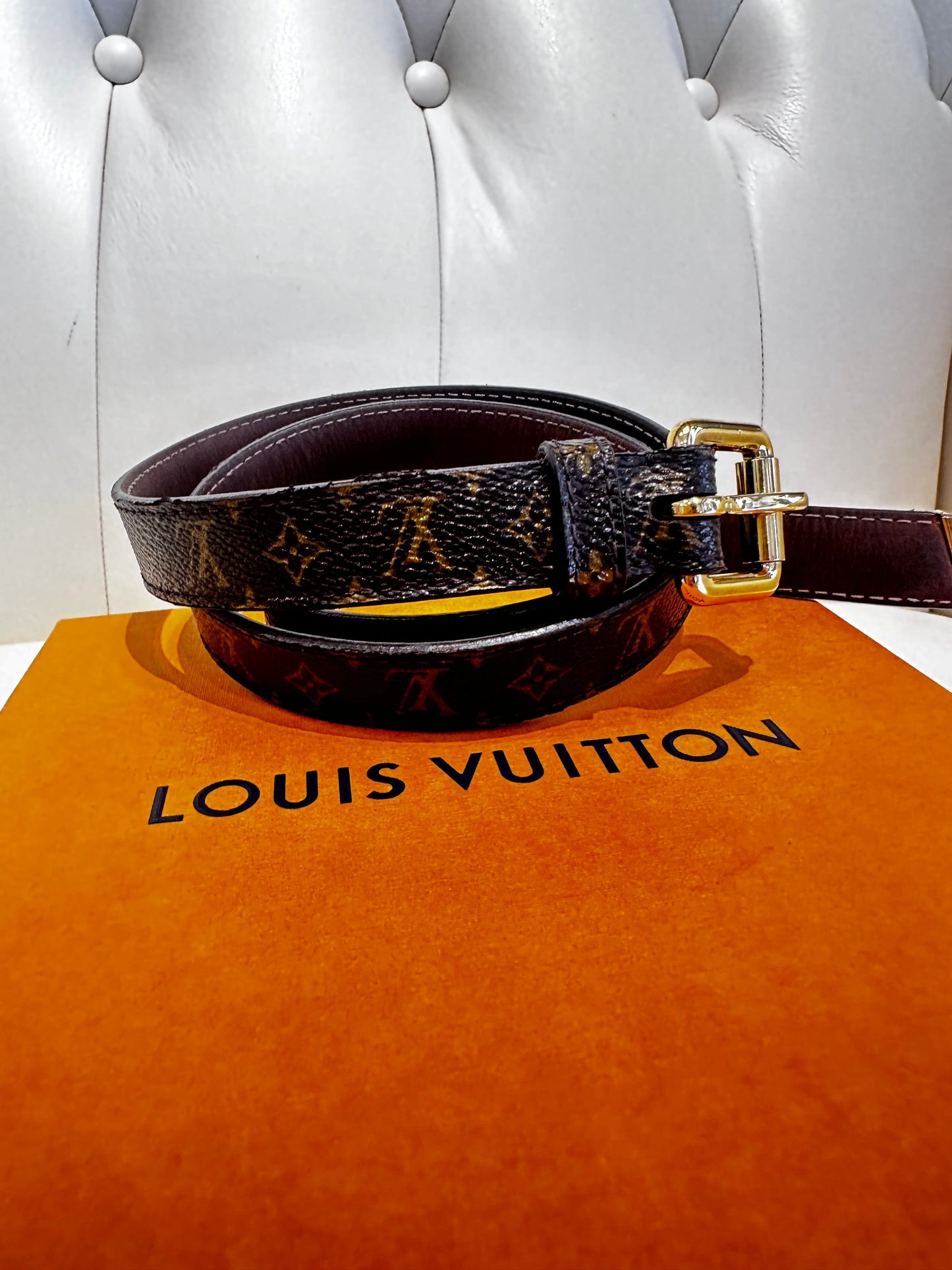 Louis Vuitton cintura bassa in monogram