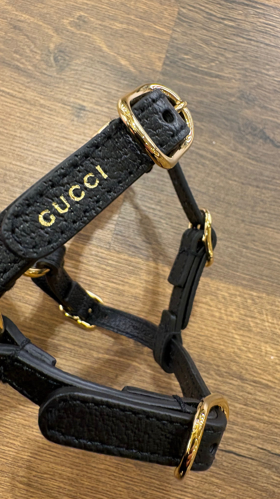 Gucci Pet pettorina  per cani in pelle ( nuovo )