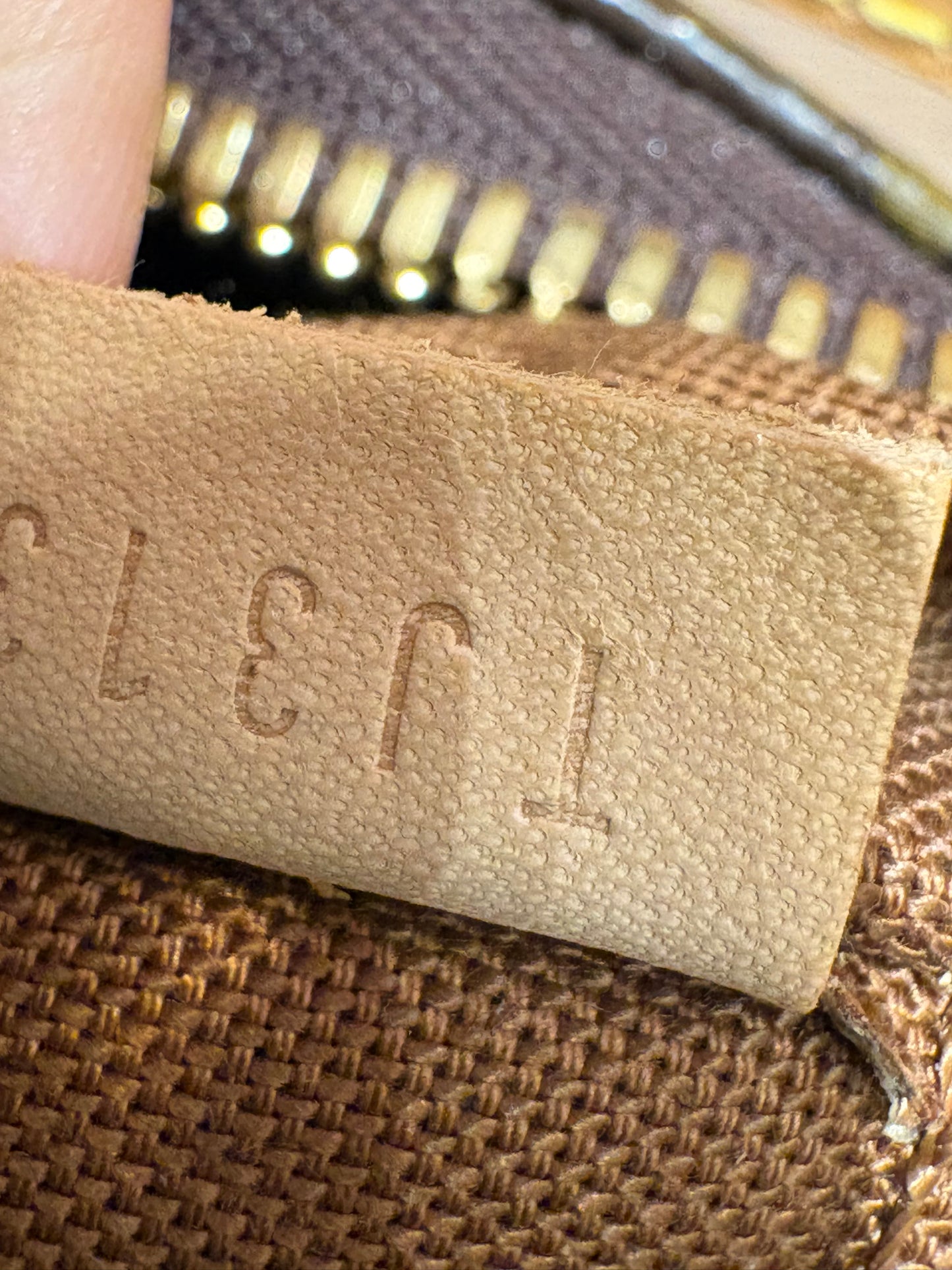Borsa Louis Vuitton Sully Monogram