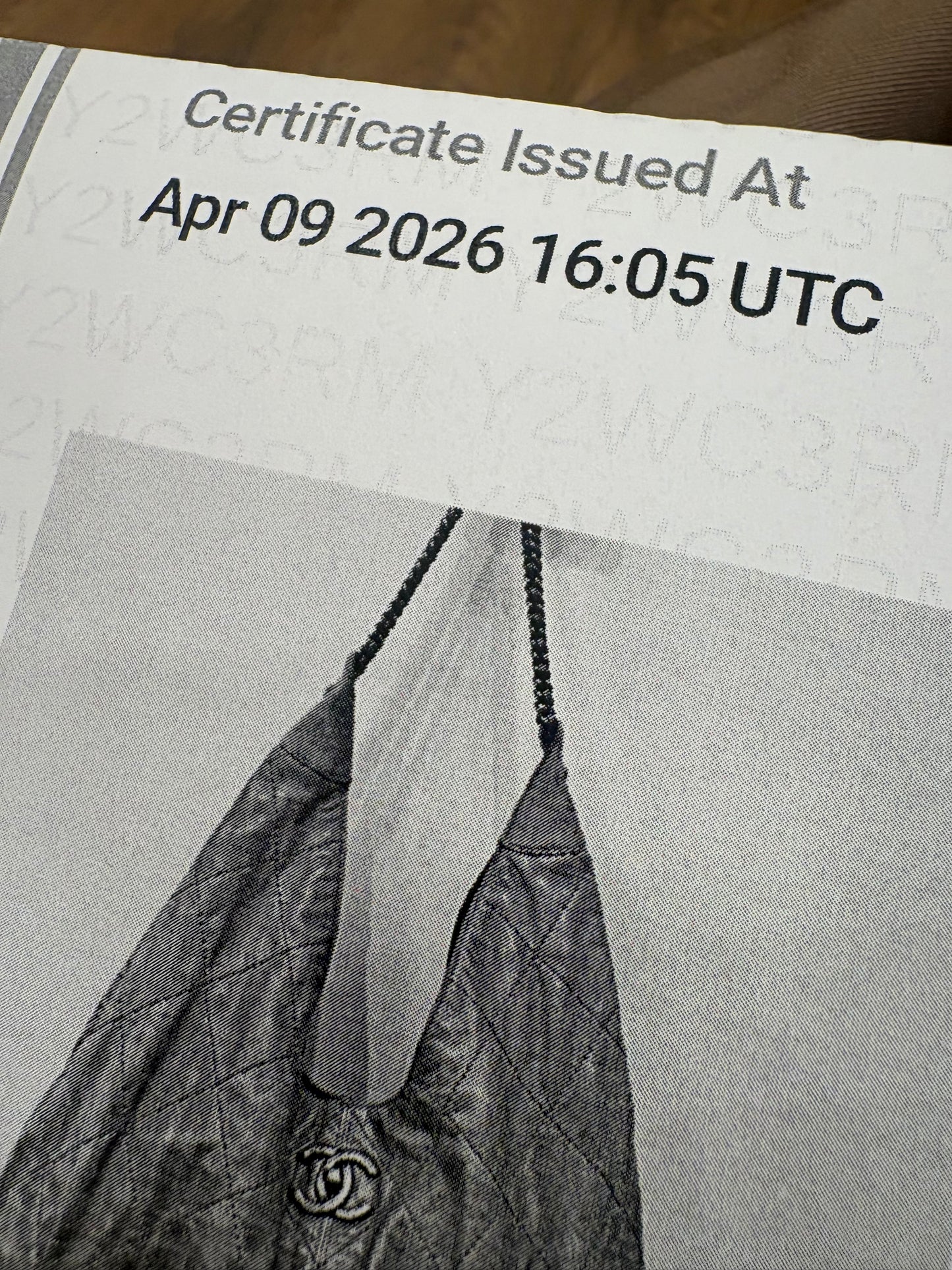Chanel  Coco Supple Hobo in pelle di vitello invecchiata trapuntata