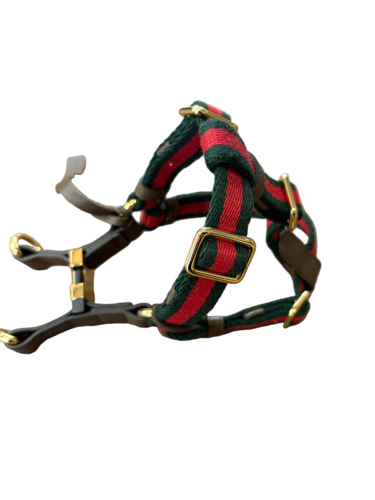 Gucci Pet pettorina in pelle e nastro web  verde rosso . Nuova