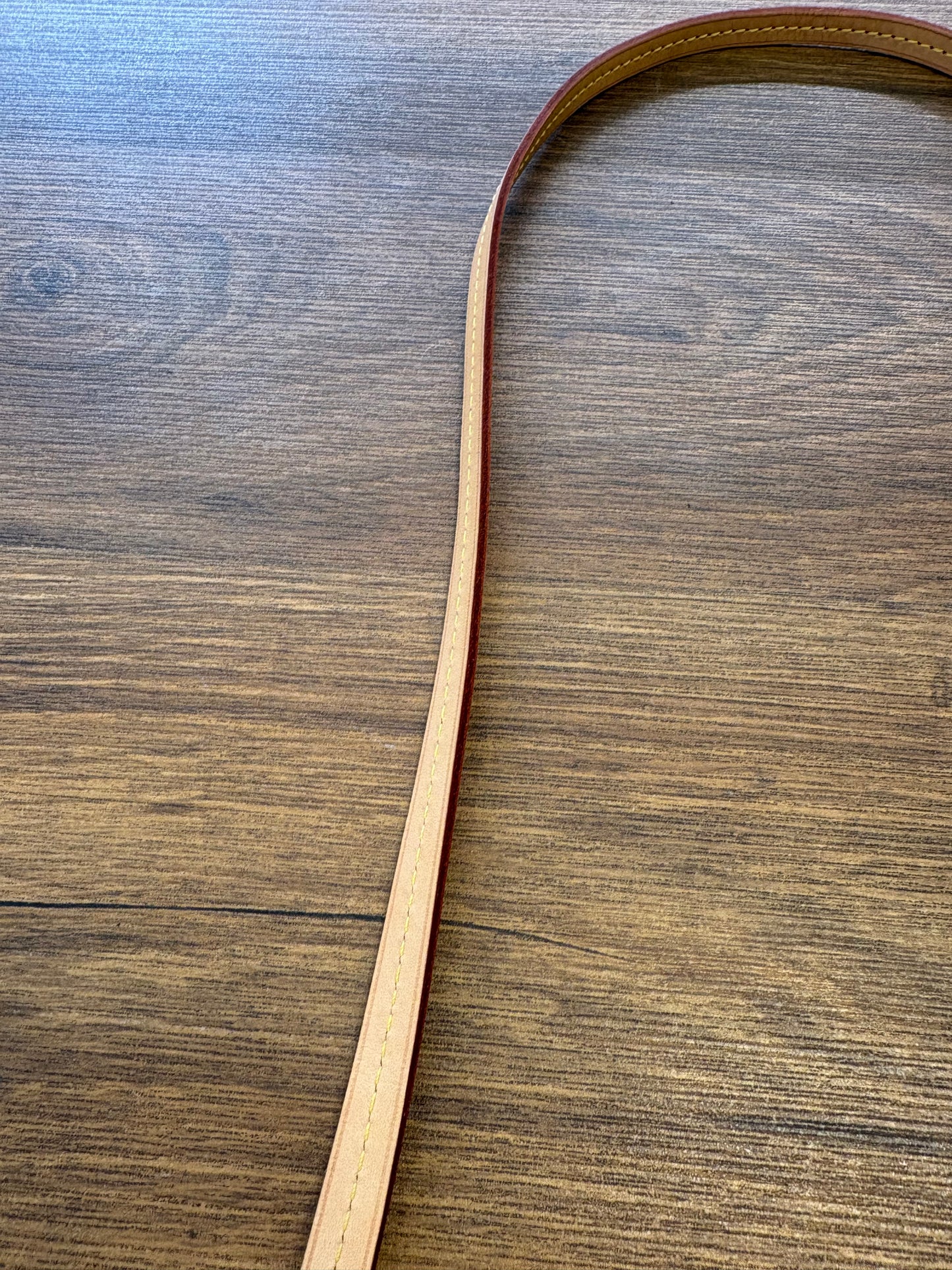 Louis Vuitton Favorite MM