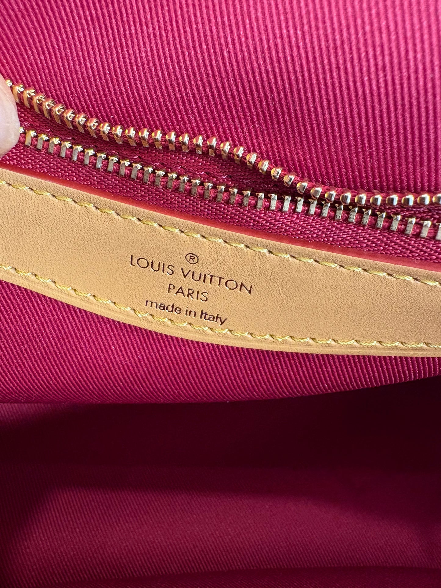 Louis Vuitton Diane Monogram Borsa Messenger in Tela e Vacchetta con Doppia Tracolla